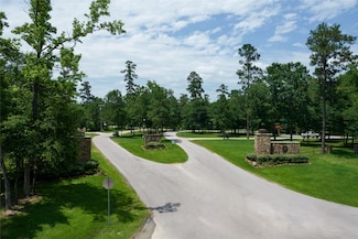 00 Larkspur Ln, New Waverly, TX 77358