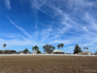 1162 E Whirl Away Cir, Inverness, FL 34453
