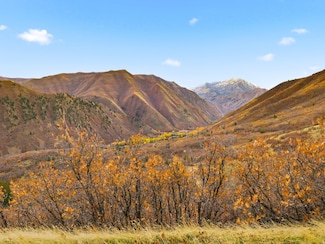 2000 Oakwood Dr Unit 3, Springville, UT 84663