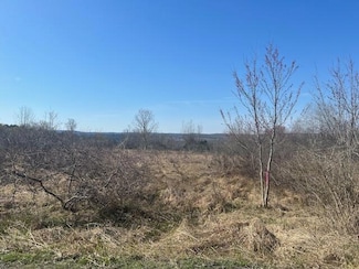 36 Slifko Rd, Palmyra Township, PA 18428