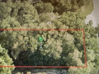 4130 E Scotty St, Inverness, FL 34453