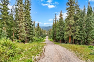 0057 County Road 675, Breckenridge, CO 80424
