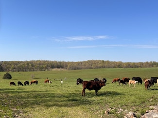 639 Silverwood Ln, Salem, AR 72576