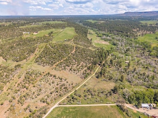 TBD Road 43, Mancos, CO 81328