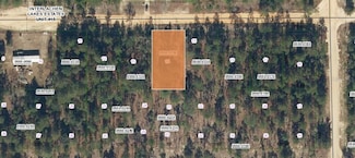 509 Nova Scotia St, Interlachen, FL 32148