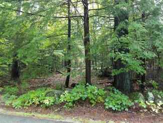 49 Longview Rd, Hancock, NH 03449