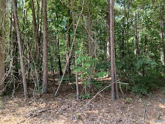 1 Arledge Dr, Ivalee, AL 35954