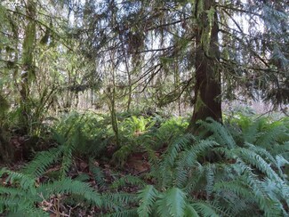 0 Winston Creek Rd Unit 1 23653805, Mossyrock, WA 98564