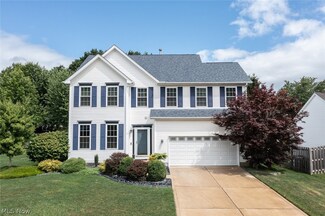 389 Halifax Ln, Medina, OH 44256