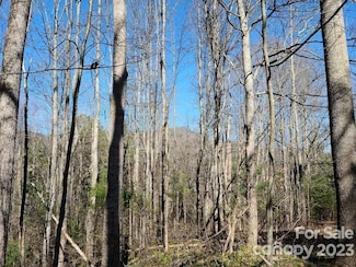 0 Harleys Cove Unit 22714724, Waynesville, NC 28785