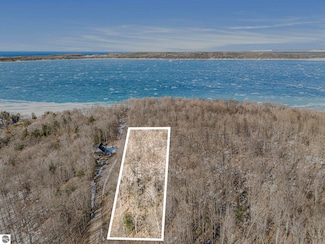 0 Treetops Ln Unit 1931472, Frankfort, MI 49635