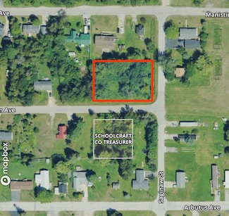 Parcel 1-3 Michigan Ave, Manistique, MI 49854