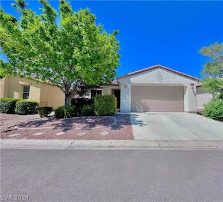 5406 Carrara Pointe St, Pahrump, NV 89061
