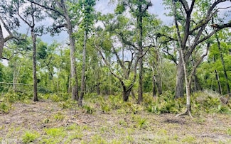 LOT73 22nd Ave, Jasper, FL 32052