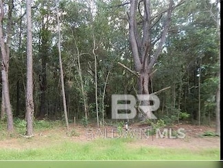 12870 Fish River Rd Unit 9, Magnolia Springs, AL 36555