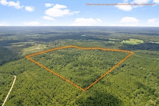 0 Roberson Rd, Hortense, GA 31543
