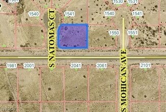 1551 S Natomas Ct, Pahrump, NV 89048