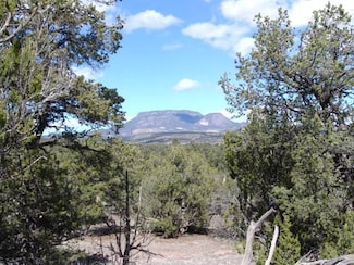 Lot 43 Morningstar Dr, Datil, NM 87821