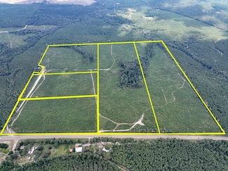 0 Recreation Road 255, Sam Rayburn, TX 75931