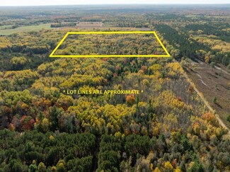 VL Poplar Ave, Lilley Township, MI 49309