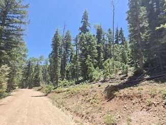 1225 W Twisted Trail, Duck Creek Village, UT 84762