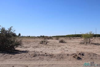 0 Feliz Rd SW Unit 20235898, Deming, NM 88030
