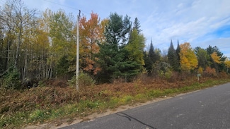 3793 Kentuck Lake Rd, Phelps, WI 54554