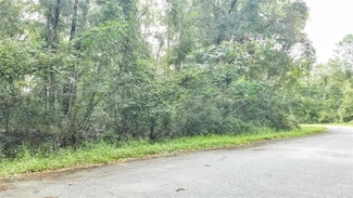 9775 N Dearing Loop, Dunnellon, FL 34434