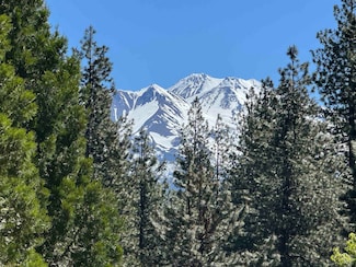 0 Dogwood Dr Unit 20250617, Weed, CA 96094