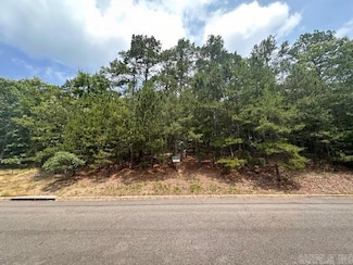 234 Glenmere Ct, Hot Springs, AR 71913