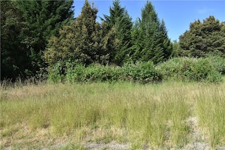 0 Briceland Rd, Whitethorn, CA 95589