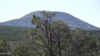 907 E Hualpai Trail Unit 159, Williams, AZ 86046