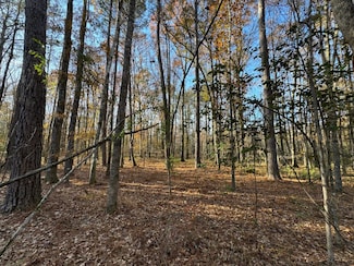 0 Jug Factory Rd, Wetumpka, AL 36093
