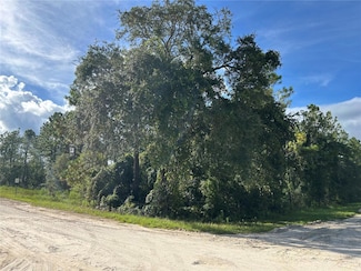 TBD NE 134th Ct, Williston Highlands, FL 32696
