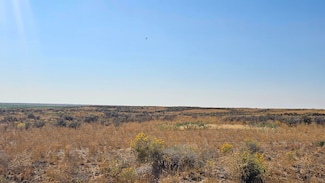 1650 S 3100 W, Aberdeen, ID 83210