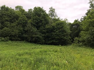 0 Statzer Rd Unit S1123416, Lewis, NY 13489