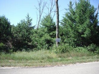 Lot 81 E 9th St, Necedah, WI 54646