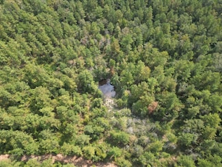 0 Dickie Rd, Soso, MS 39480