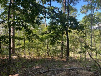 0 County Road 564, Logan Township, MO 63965