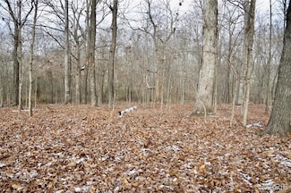 00 N Maysville Ln, Mount Vernon, IL 62864