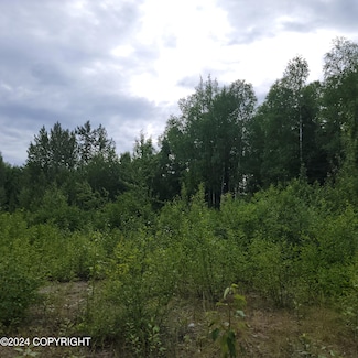 27048 W Parks Hwy, Willow, AK 99688
