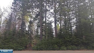 TBD Wuori Rd, Virginia, MN 55792