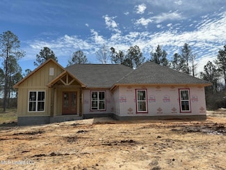 3416 Rocky Branch Rd, Sumrall, MS 39482