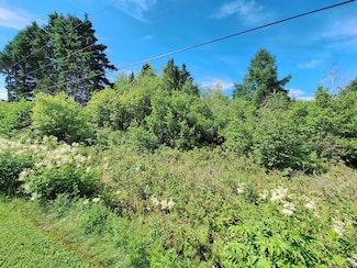 Lot #54-D Lavertu Rd, Madawaska, ME 04756