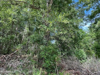 0 Sampras Blvd Unit 4130535, Vancleave, MS 39565