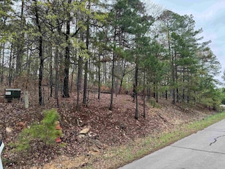 37 Tamayo Way, Hot Springs Village, AR 71909