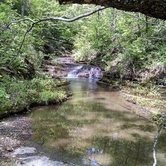 12239 E Hwy 254, Dennard, AR 72629