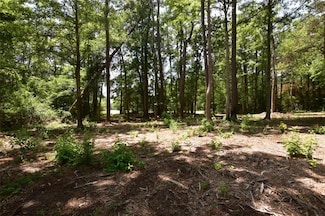37418 Howard O'Berry Rd, Pearl River, LA 70452