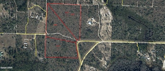 TBD NW Lake McKenzie Shores Blvd, Altha, FL 32421