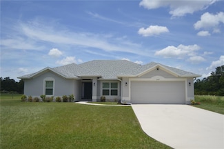 2447 Rio Grande Valley Ct, Kissimmee, FL 34759